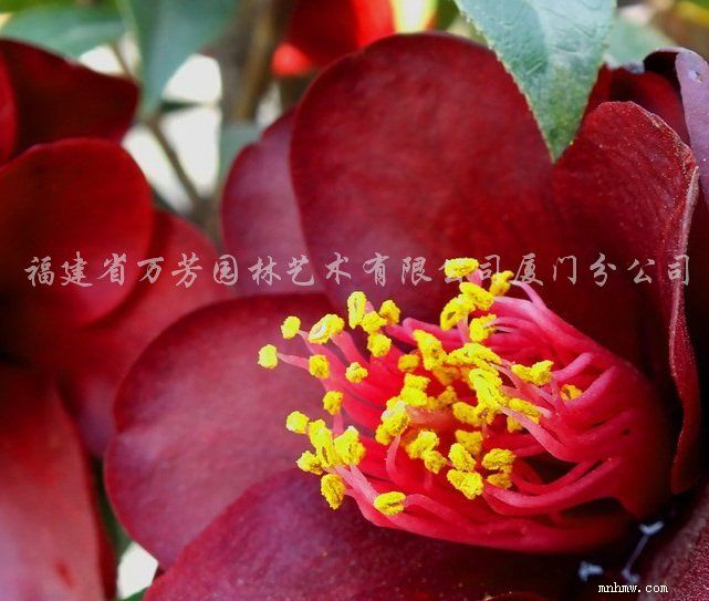 点击查看大图